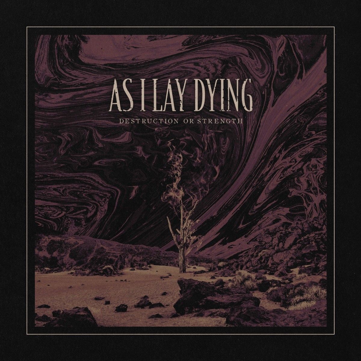 Destruction Or Strength, CD-Cover