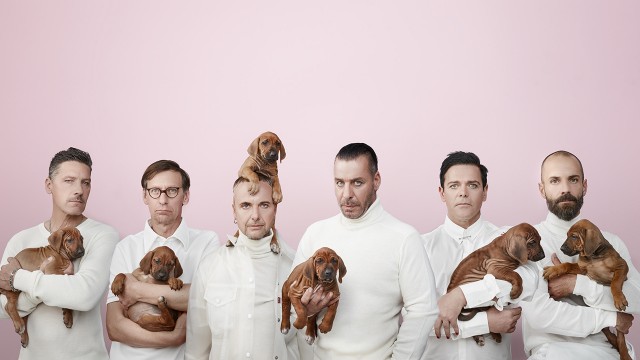 Rammstein: Goldene Schallplatten für den guten Zw